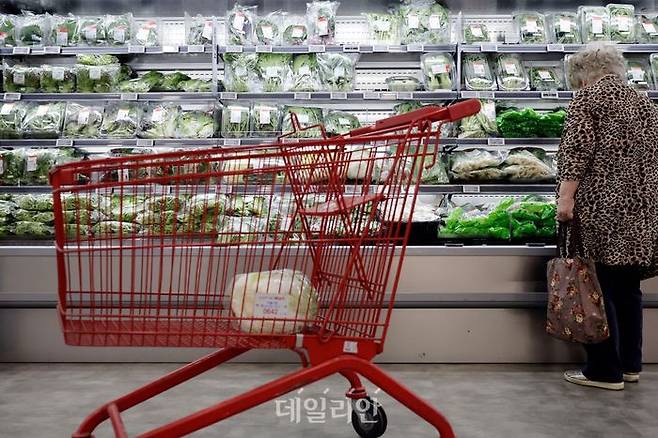 서울 시내 대형마트 내 채소류 매대 모습.ⓒ뉴시스