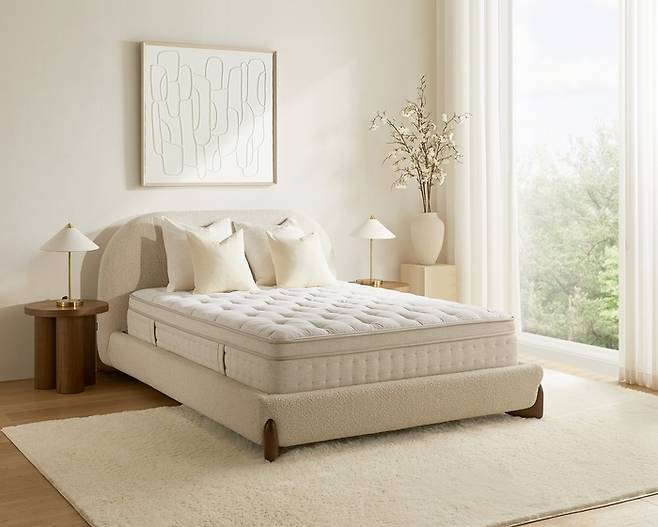 마테라소 포레스트 클라우드H