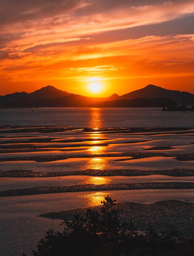 디지털 사진갤에 올라온 노을 사진