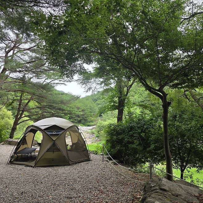 20250714_162610.jpg 캠핑 나왔어요