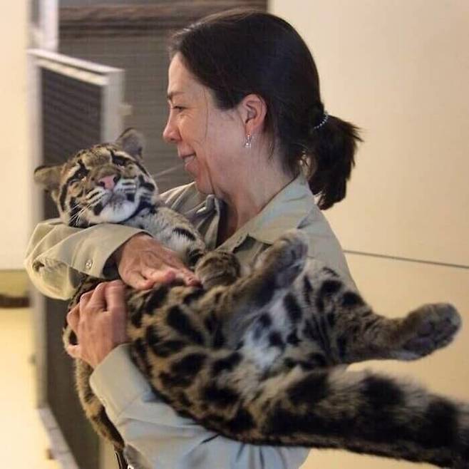 Internet_20250714_170414_2.jpeg 사육사 하고 잠시 떨어졌던 고양이의 표정