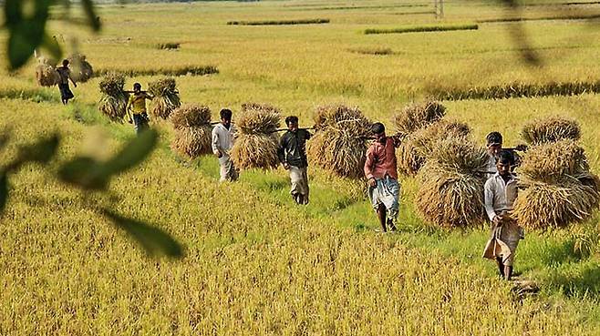 2.jpg 나라 전체가 날아갈뻔한 방글라데시 납중독 사태 나라 전체가 날아갈뻔한 방글라데시 납중독 사태 .jpg