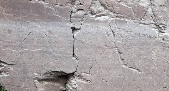 13일 울산시 울주군 대곡리 반구대 암각화에 새겨진 동물 그림이 선명하게 보이고 있다. 지난 12일 '울주 대곡리 반구대 암각화'와 '울주 천전리 명문과 암각화'로 구성된 '반구천의 암각화'가 유네스코 세계유산으로 등재됐다. 연합뉴스