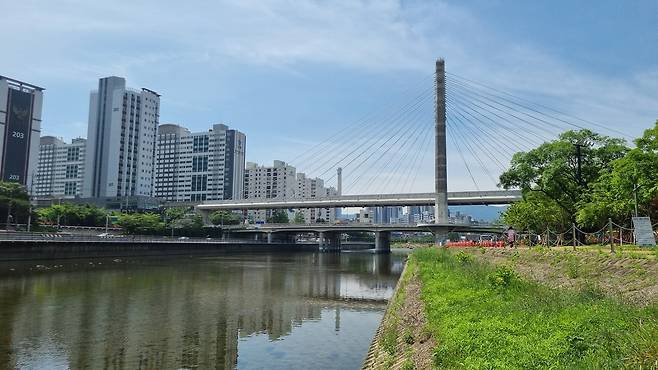 ‘프러포즈존’이 들어설 대구 신천 대봉교의 모습. 대구시 제공