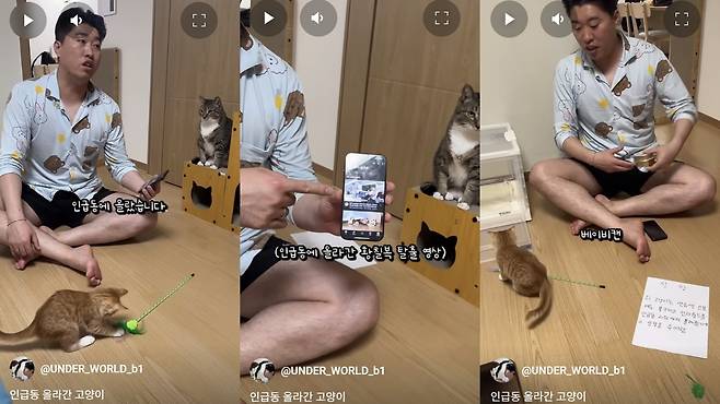 유튜브 ‘언더월드’ 쇼츠 캡처