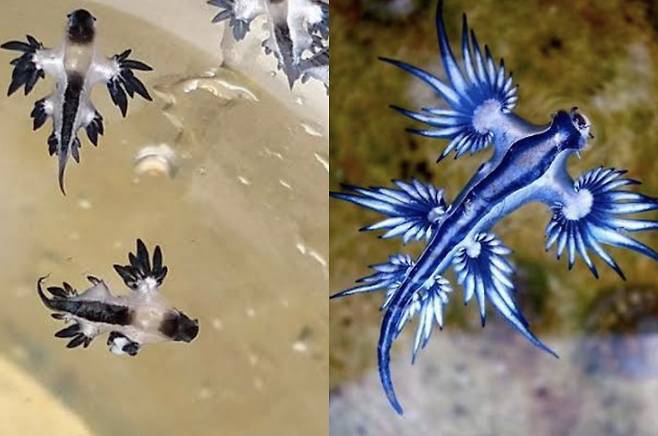 [출처=방콕포스트]