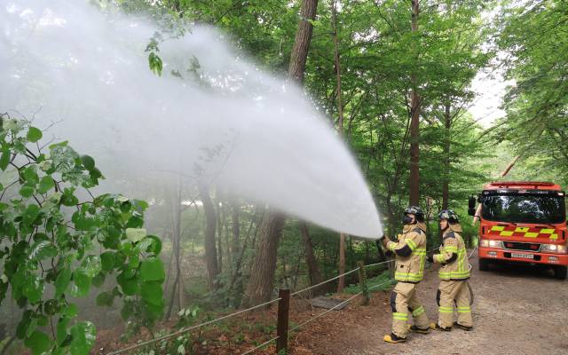이달 3일 서울 노원구 공릉동 삼육대학교에서 소방대원들이 물을 뿌리며 러브버그 현장 방제활동을 하고 있다. 관계자는 러브버그 퇴치는 날개가 약한 개체의 특성으로 나뭇잎 아래쪽에 살수하는 것으로 충분하다고 전했다. 연합뉴스