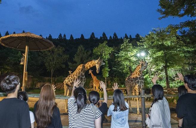 에버랜드 여름방학 동물 탐험 로스트밸리 썸머 선셋 어드벤처 (에버랜드 제공)