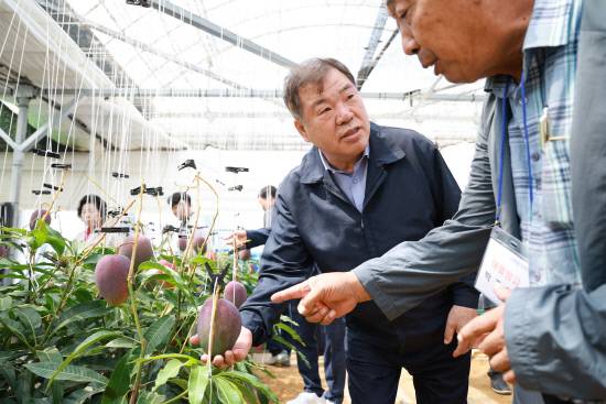 이승화 산청군수가 신소득 작물인 애플망고 농가를 방문했다.