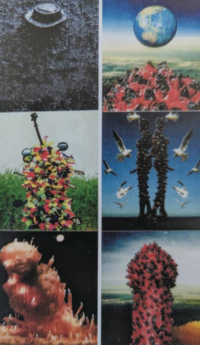 우오타 모투, molting and regeneration. 아트코스모스 제공