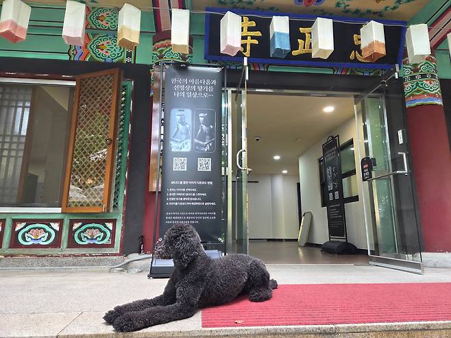서울 남산 충정사 입구에 반려견 '새콤이'가 앉아 있다. 충정사는 반려견과 함께 방문할 수 있는 반려견 친화형 사찰이다. /김한수 기자