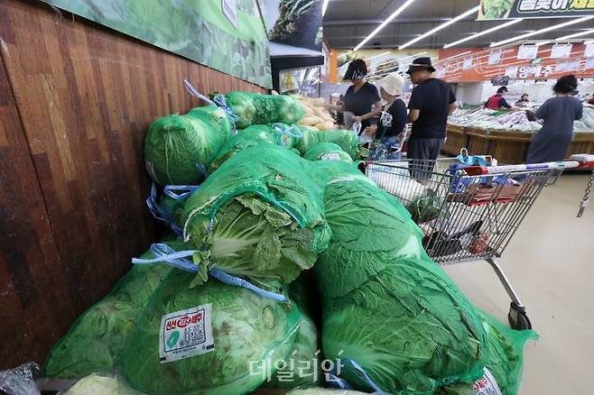 서울 시내의 한 대형마트 매대에 배추가 진열돼 있다. ⓒ뉴시스