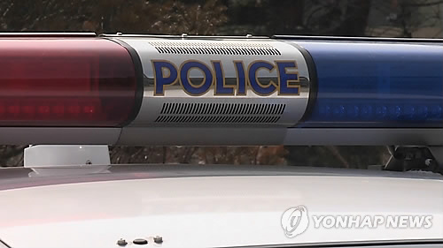 경찰차 사이렌 [연합뉴스TV 제공]