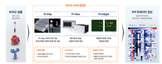 프로티나의 단백질 간 상호작용(PPI)을 분석하는 플랫폼 'SPID'(사진=프로티나)