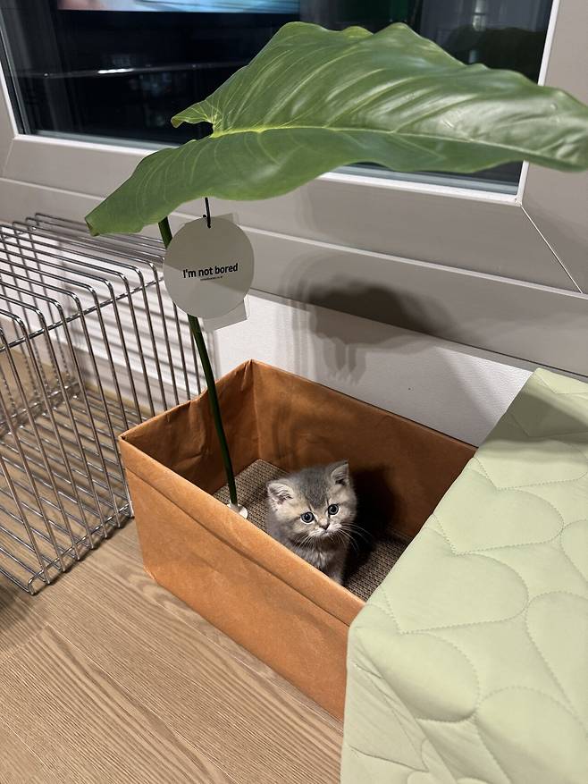 우리집 새로운 가족