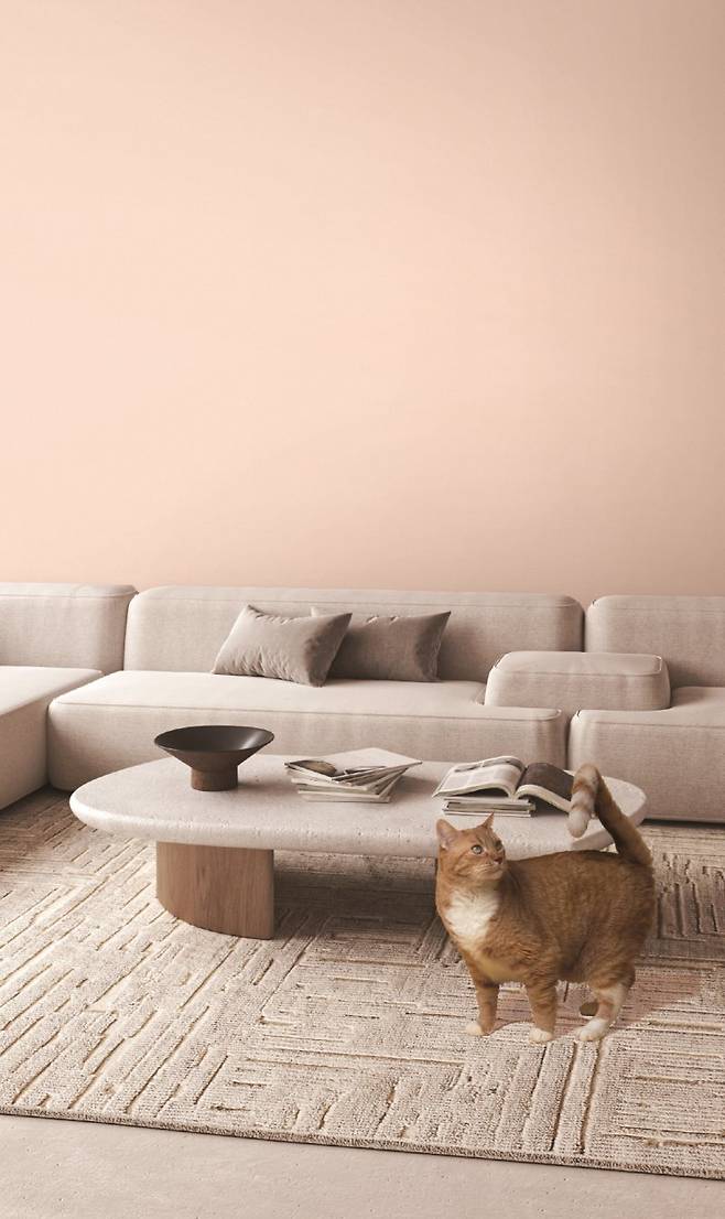 LX하우시스 LX지인 벽지 디아망 포터스 LX하우시스 제공