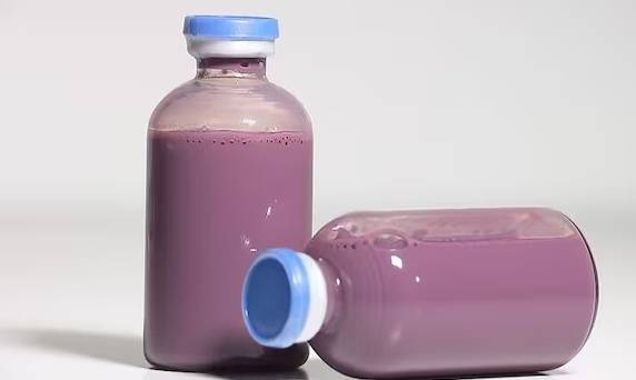 일본 나라현립 의과대학 연구팀이 개발한 인공 혈액. /사진=조선일보 DB