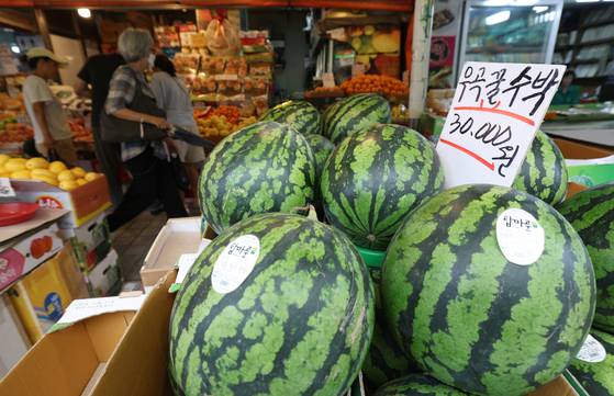 Watermelons, priced at 30,000 won ($21.69) each, are displayed at Motgol Market in Suwon, Gyeonggi, on July 14. [NEWS1]