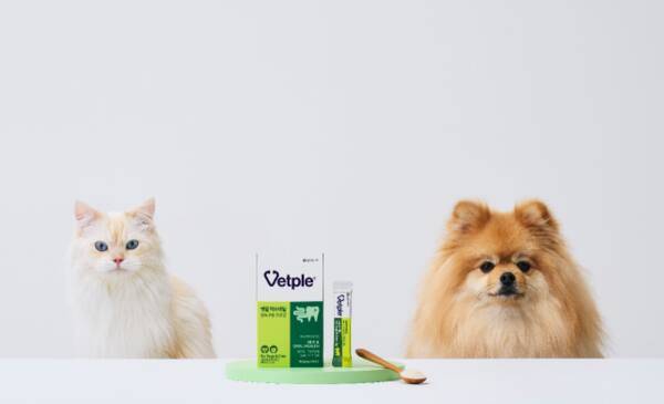 동아제약 ‘벳플 락토덴탈’. 동아제약