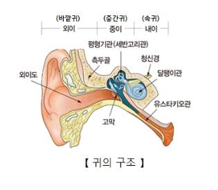 /사진=서울시보라매병원