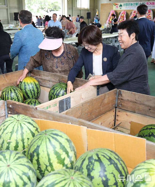[제주=뉴시스] 우장호 기자 = 올해 폭염으로 수박값이 크게 오른 15일 오전 제주시 애월읍 신엄리 농산물 직판장에서 수박 직거래 장터가 열려 방문객들이 잘 익은 수박을 둘러보고 있다.한국농수산식품유통공사(aT) 집계에 따르면 전날 수박 한 통 평균 소매 가격은 전통시장에서 3만327원으로 3만원을 돌파했고, 전국 평균 수박 가격도 2만9816원으로 3만원을 눈앞에 뒀다. 2025.07.15. woo1223@newsis.com