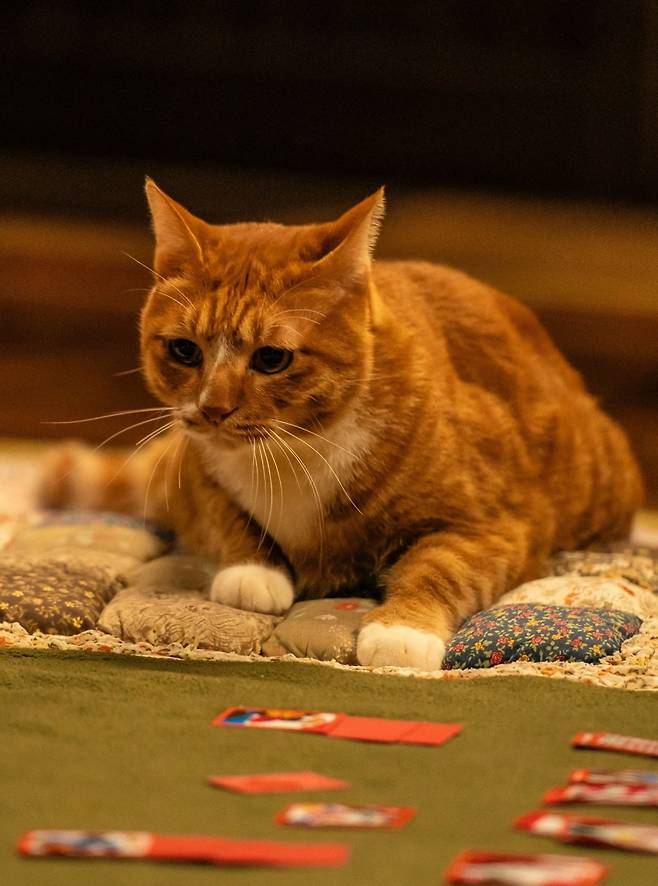 사진제공=NEW, 스튜디오N