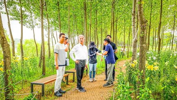 지난 7일 ‘계양아라온’을 현장 방문한 윤환 계양구청장이 포시즌가든 내 백합 개화 현황을 점검하고 있다. /계양구 제공