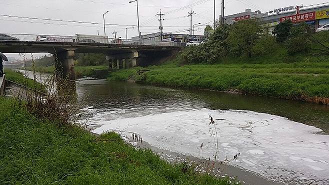 광주 광산구 풍영정천. 뉴시스