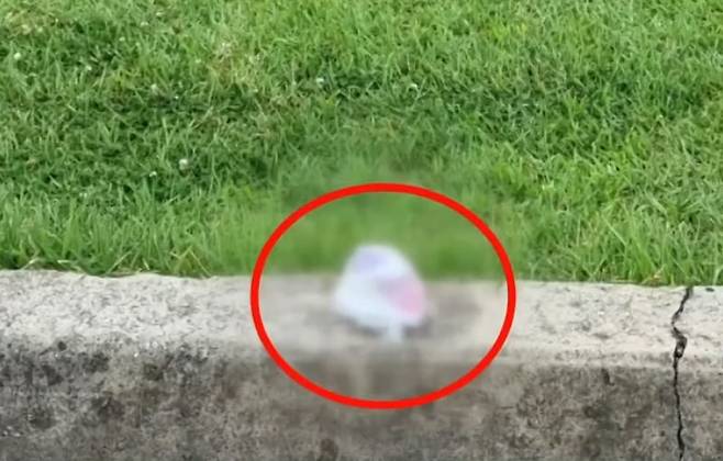 (JTBC '사건반장')