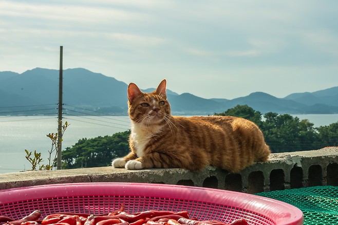 영화 ‘좀비딸’ 애용이. 사진| NEW