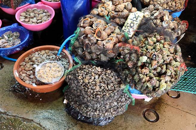 인천 남동구 소래포구에서 판매하는 소라.