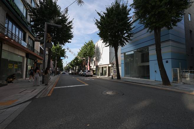 서울 강남구 신사동 가로수길. 1분기 공실률 41.6%를 기록한 메인 거리는 한때의 북적임을 잃었다. / 고운호 기자