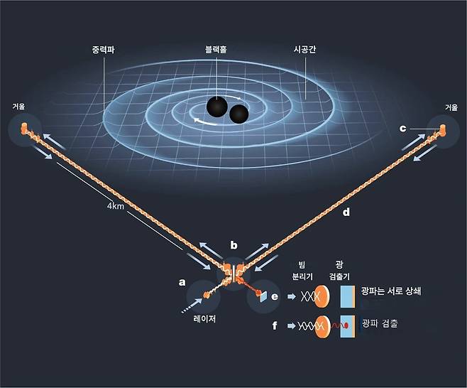 a. 레이저 빔(광파)을 4㎞ 진공관에 쏴서 길이 변화를 측정. b. 빔 분할기는 빛을 쪼개서 진공관을 따라 두 개의 동일한 빔을 보냄. c. 레이저 빔은 거울에 반사된 뒤 되돌아옴. d. 중력파는 간섭계가 달려 있는 진공관에 영향을 미침. 중력파의 정점과 골이 지나면서 진공관 하나는 늘어나고 다른 하나는 줄어듬. e. 두 진공관 가운데 중력파가 지나간 경우 레이저 빔은 서로 상쇄. f. 중력파가 지나가지 않은 경우 레이저 빔은 상쇄되지 않고 검출. /요한 야네스타드/스웨덴 왕립과학 아카데미.
