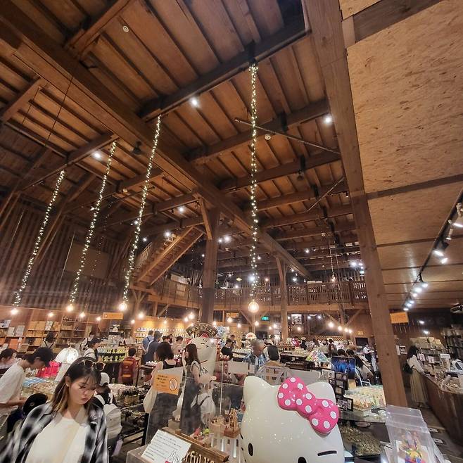 펨붕이 혼자 급 떠난 삿포로 여행