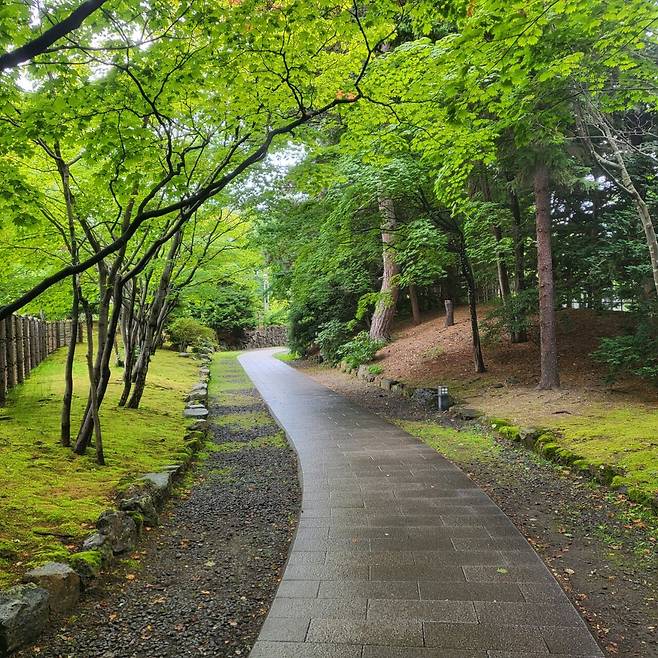 KakaoTalk_20250716_152542440.jpg 펨붕이 혼자 급 떠난 삿포로 여행