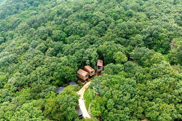 서울 노원구 자연휴양림 '수락휴'에 트리하우스 3채가 옹기종기 모여 있다.