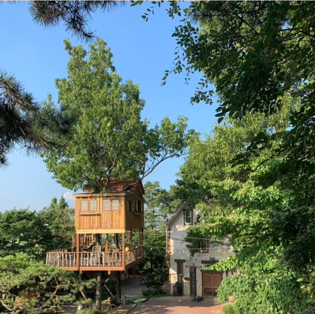 경기 평택시 '트리하우스' 상수리집 전경. 트리하우스 제공