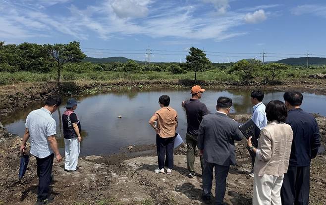 서귀포시가 어제(15일) 전문가 자문단과 함께 사려물 습지 현장에서 정비 방안을 논의하는 모습 (서귀포시 제공)