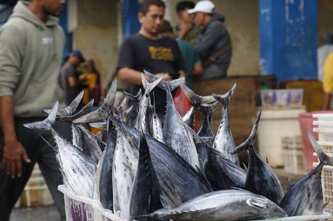 인도네시아의 한 수산물 시장. 로이터연합뉴스