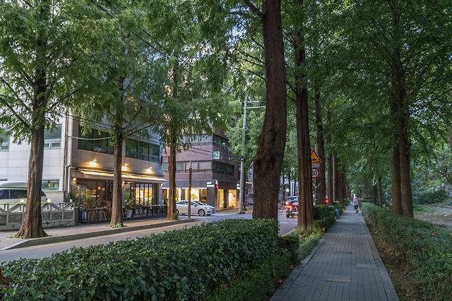 양재천 근린공원 ‘연인의 거리’ 옆 도롯가에 형성돼 있는 양재천 카페거리.[헤럴드DB]