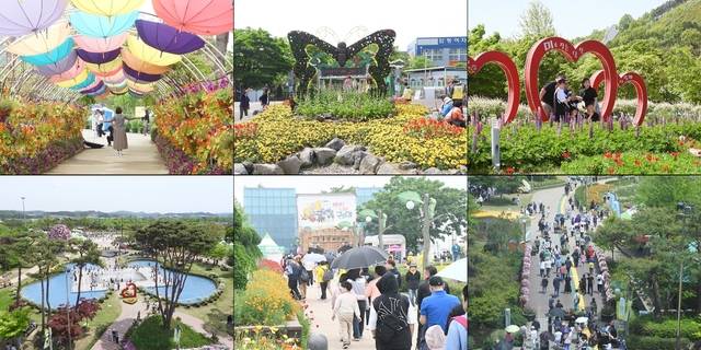지난해 함평 ‘나비대축제’ 모습. 함평군