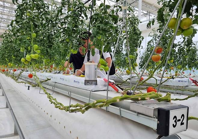 한국기계연구원이 운영중인 온실 실증시설  [촬영 박주영]