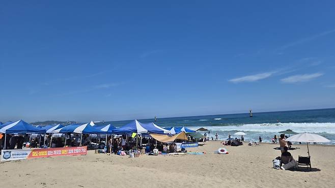 제14회 삼척이사부장군배 전국바다수영대회 현장 [독자 제공. 재판매 및 DB 금지]