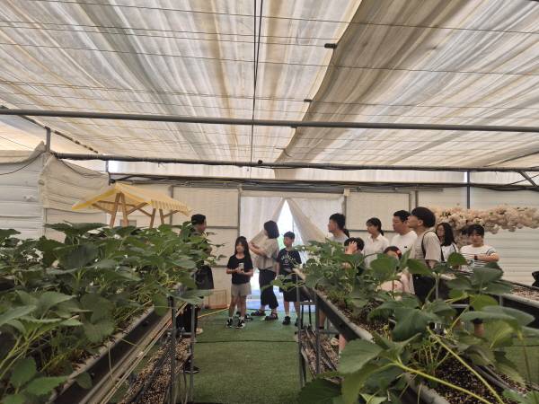 어린이들이 체험 농장에서 실습하고 있는 모습.