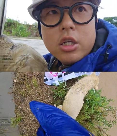 (온라인 커뮤니티 갈무리)