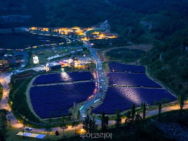 무릉별 야간개장/사진-동해시