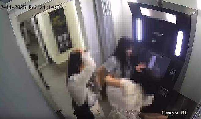 한국 여성이 베트남 여성에게 발길질을 하는 모습. /스레드