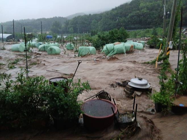 호우경보가 내려진 17일 오전 충남 예산군 봉산면에서 산사태로 떠밀려온 흙더미가 한 축사를 덮쳐 소가 매몰돼 있다./연합뉴스