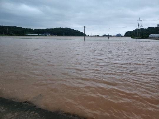 서천군 서면지역 농경지가 집중호우로 물에 잠겼다. 서천군 제공