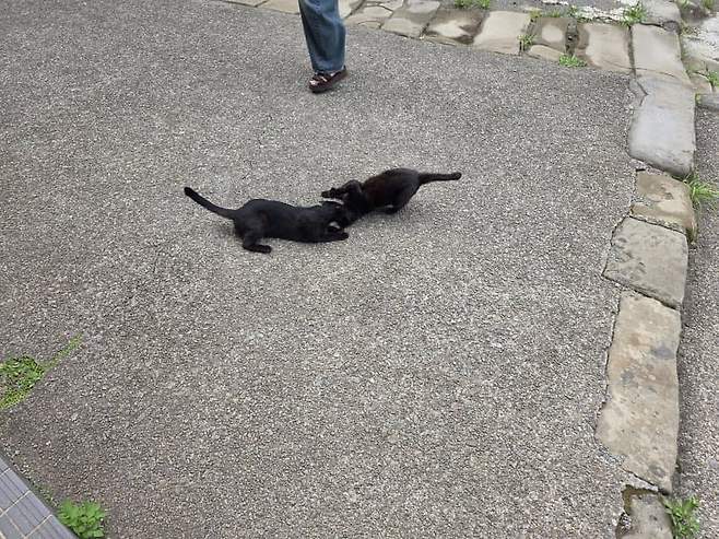 7fed8273b58569f751ee80e54f837673c50f950b9624d8822bfa9da227c66137